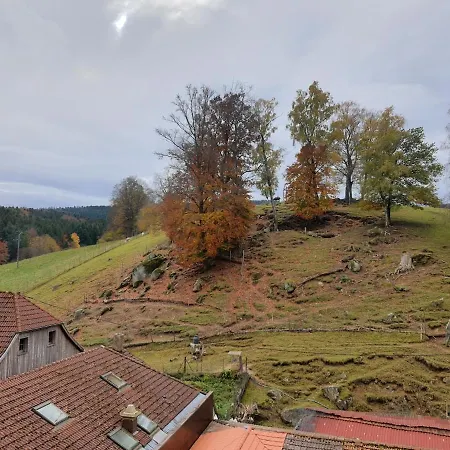 Cozy In Nature & Relaxation Guaranteed Le Hohwald